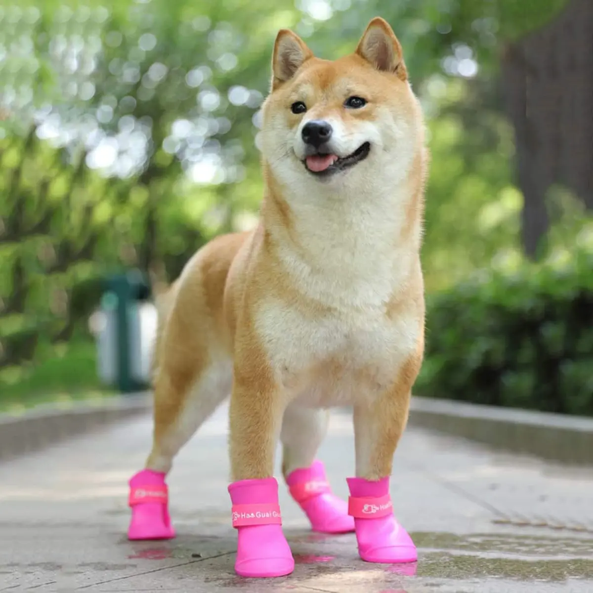 Cdycam Cute Little Pet Dog Puppy Rain Snow Boots Shoes Booties Candy Colors Rubber Waterproof Anti-Slip (Rose Red, X-Large) - view 6