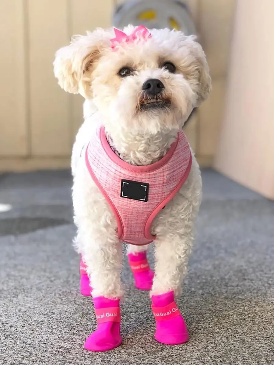 Cdycam Cute Little Pet Dog Puppy Rain Snow Boots Shoes Booties Candy Colors Rubber Waterproof Anti-Slip (Rose Red, X-Large) - view 7