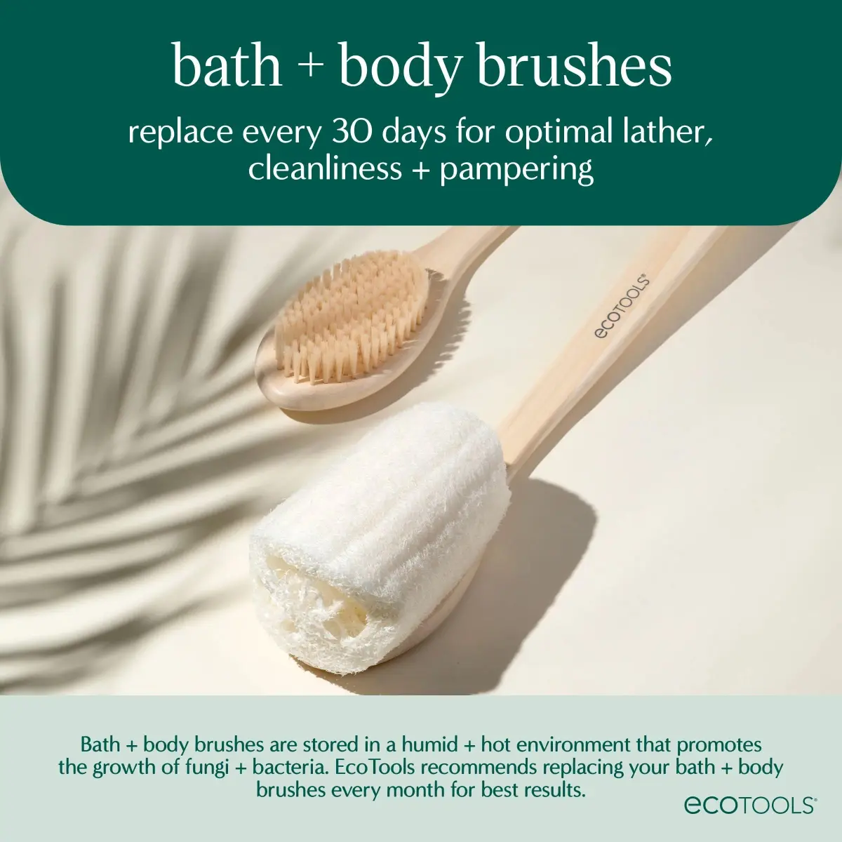 EcoTools Dry Body Brush for Dry Brushing, Smooth Skin, 1 Count | Gentle Exfoliation for Glowing Skin - view 6