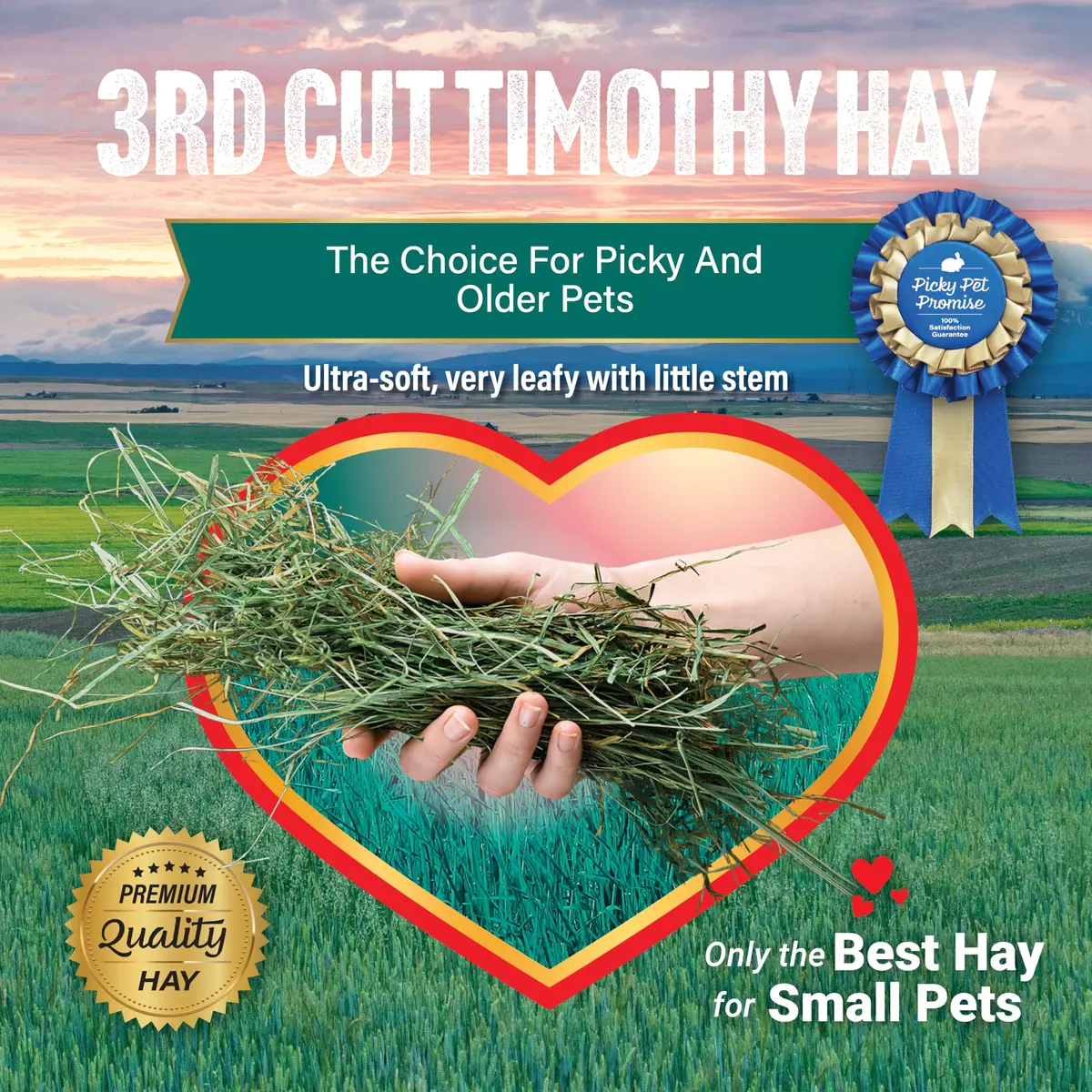 Small Pet Select 3rd Cutting Super Soft Timothy Hay 10 lb | Picky Eaters' Favorite, Grown in USA - view 5