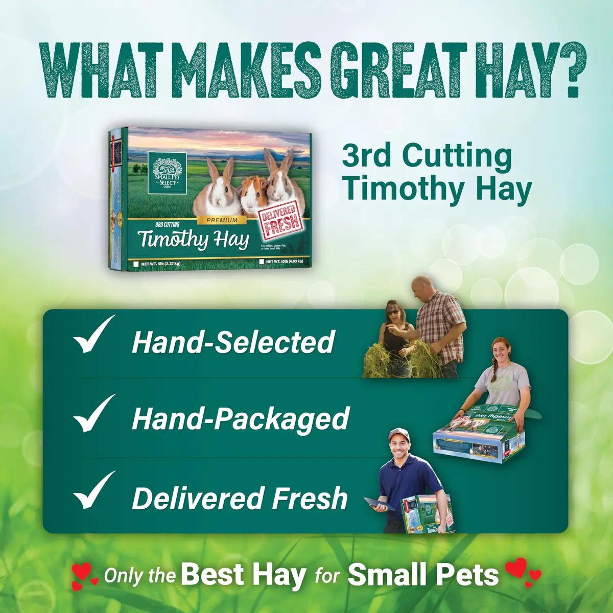 Small Pet Select 3rd Cutting Super Soft Timothy Hay 10 lb | Picky Eaters' Favorite, Grown in USA - view 6