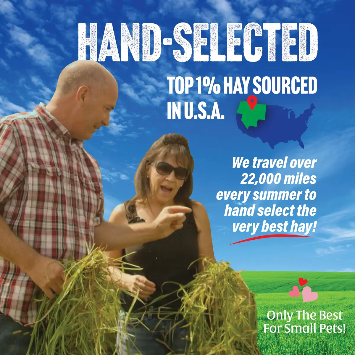 Small Pet Select 3rd Cutting Super Soft Timothy Hay 10 lb | Picky Eaters' Favorite, Grown in USA - view 2