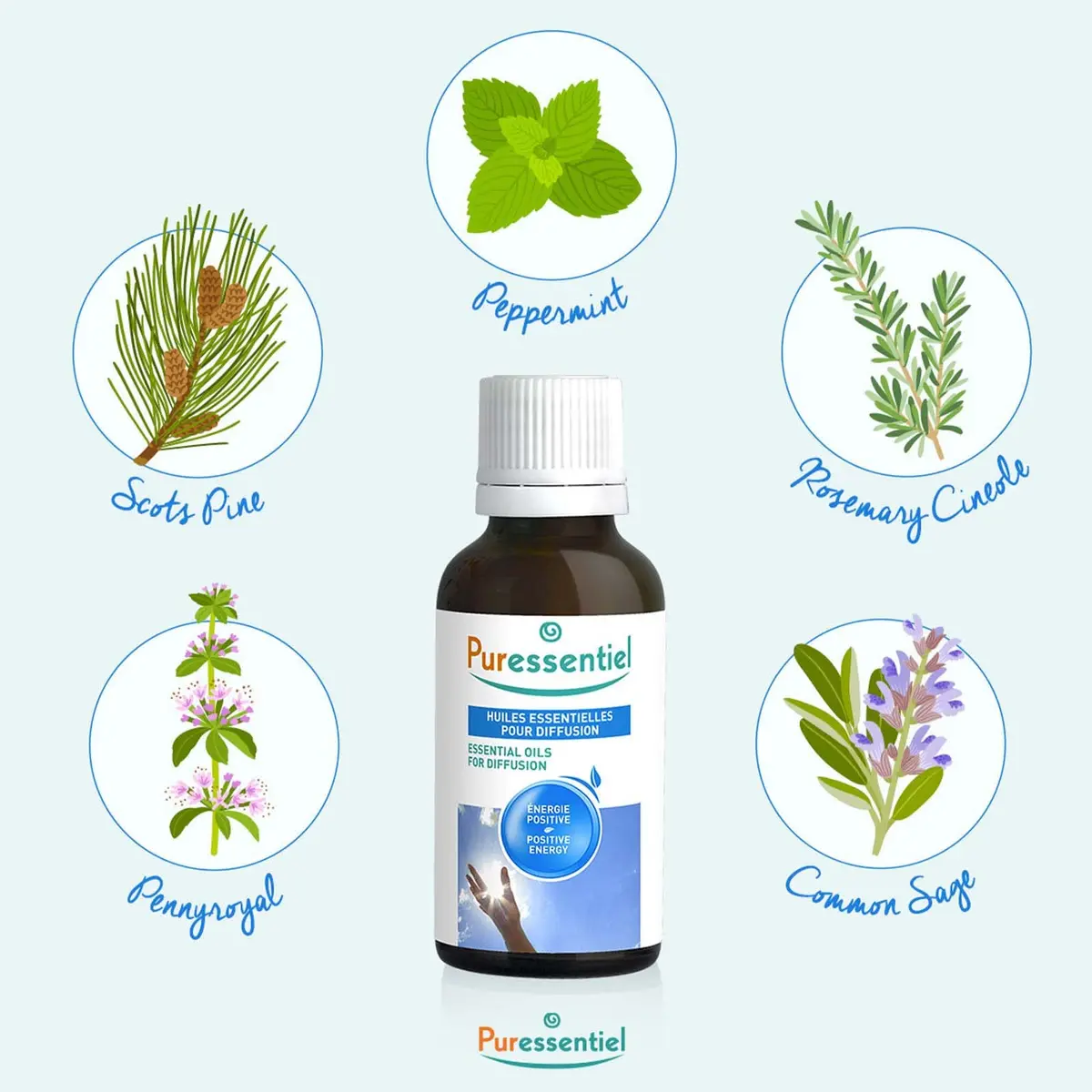 Puressentiel Organic Eucalyptus Radiata Essential Oil 0.3 oz | Pure, Organic, No Solvents - view 3
