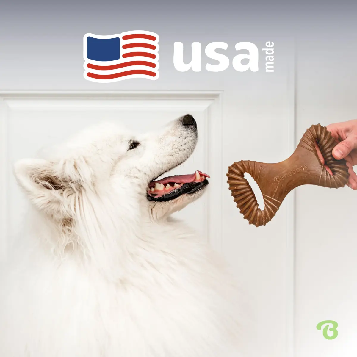 Benebone Dental Durable Dog Chew Toy for Aggressive Chewers, Real Peanut, Medium 230g (0.52 lb) | Tough Chew Toy for Strong Dogs - view 5