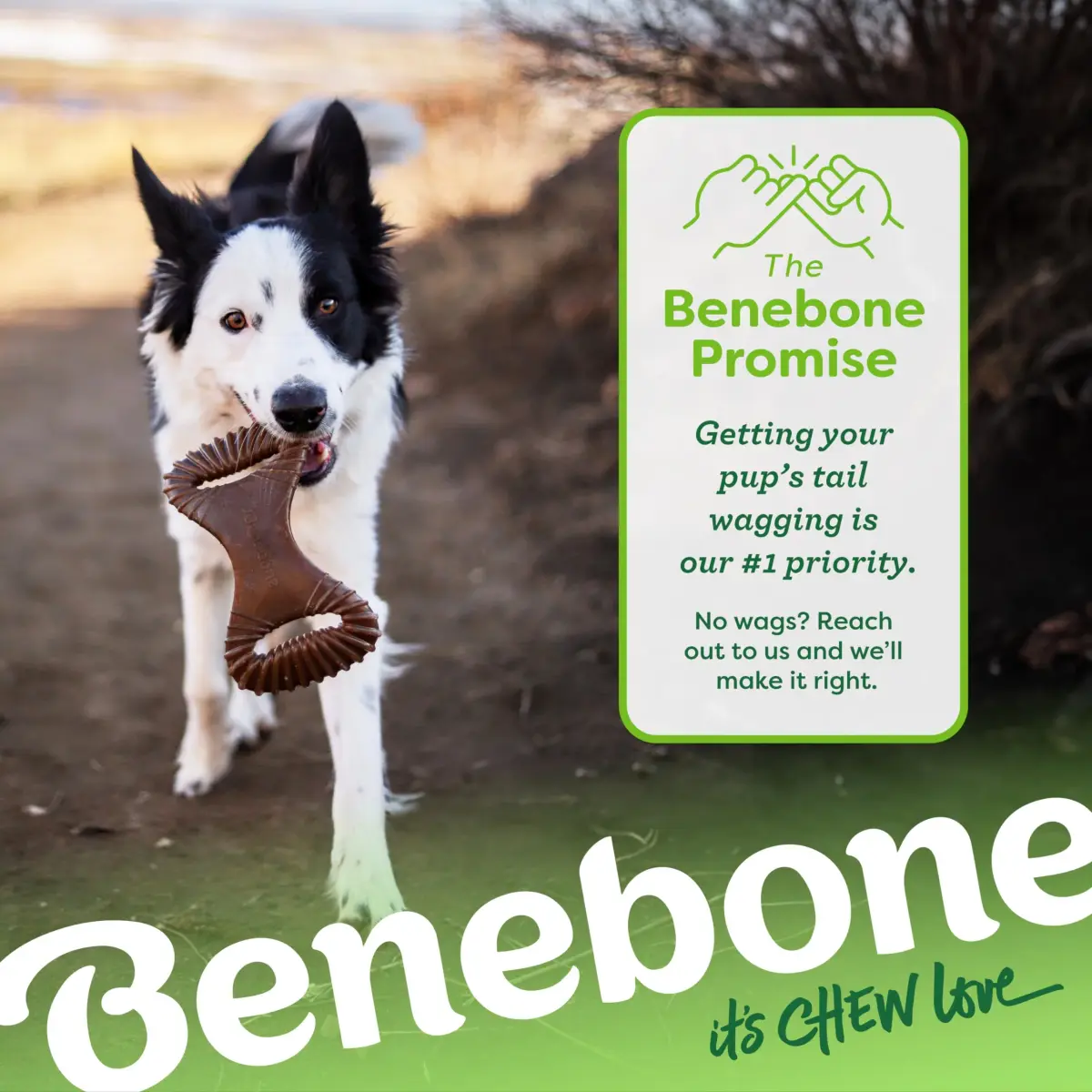 Benebone Dental Durable Dog Chew Toy for Aggressive Chewers, Real Chicken, Made in USA, Medium (0.23 kg) - view 6