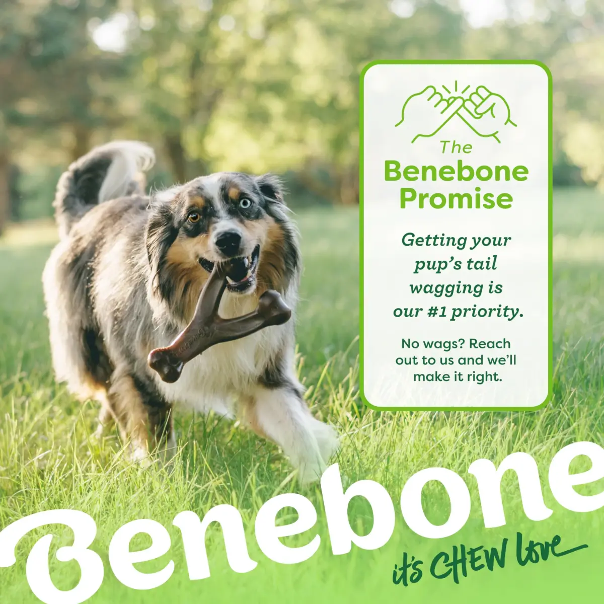 Benebone Wishbone Durable Dog Chew Toy for Aggressive Chewers, Real Peanut, 204 g (0.45 lb) | Made in USA, Large - view 6