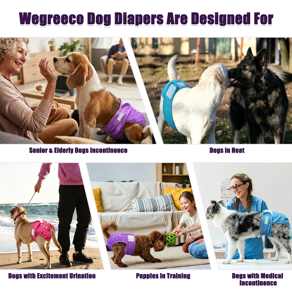 wegreeco XX-Large Dog Diapers | Reusable Female Dog Period Panties in Bright Color (4.5/5 ⭐ from 44851 reviews) - view 7