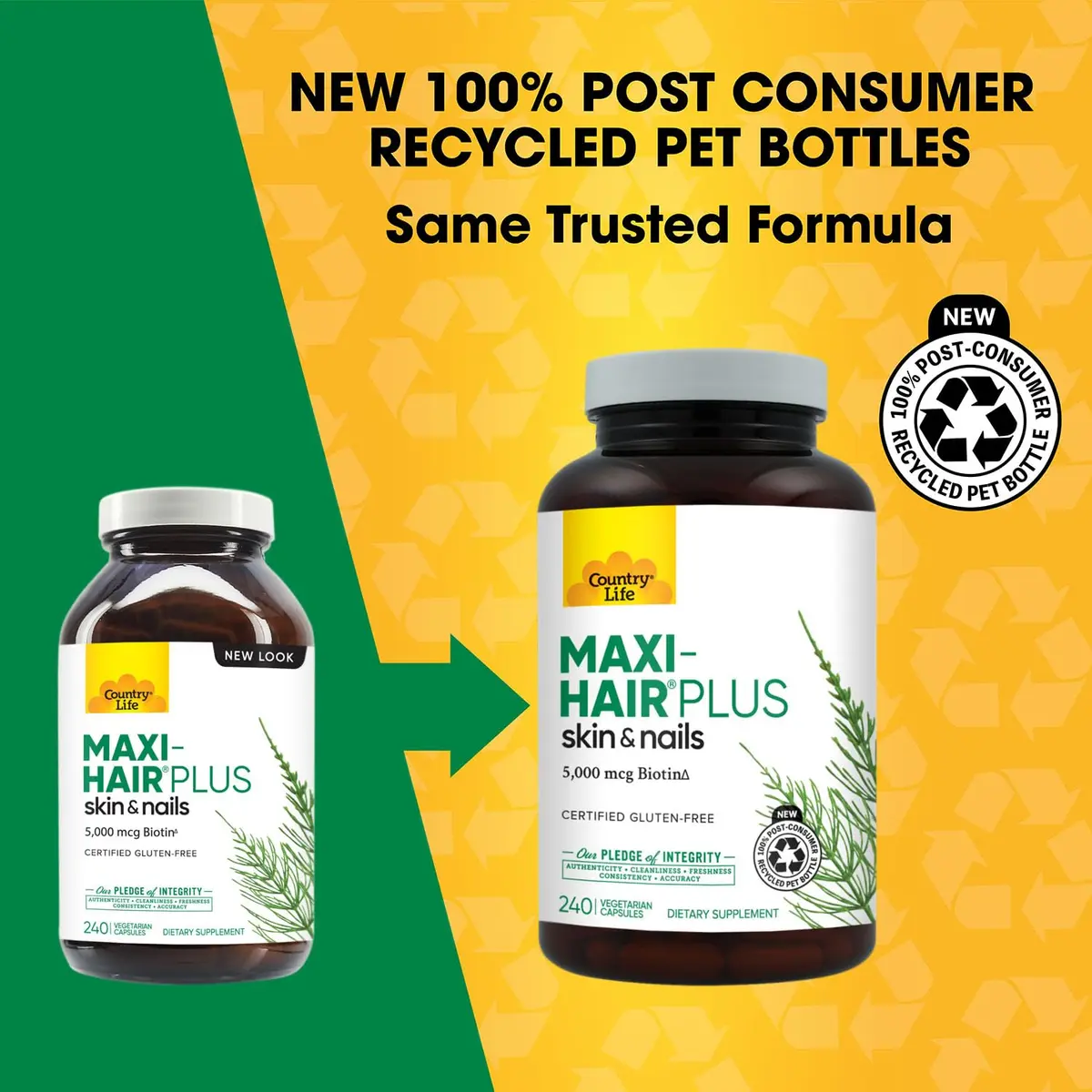 Country Life Maxi-Hair Plus 5000 mcg Biotin | Supports Healthy Hair, Skin & Nails (240 Vegetarian Capsules) - view 2