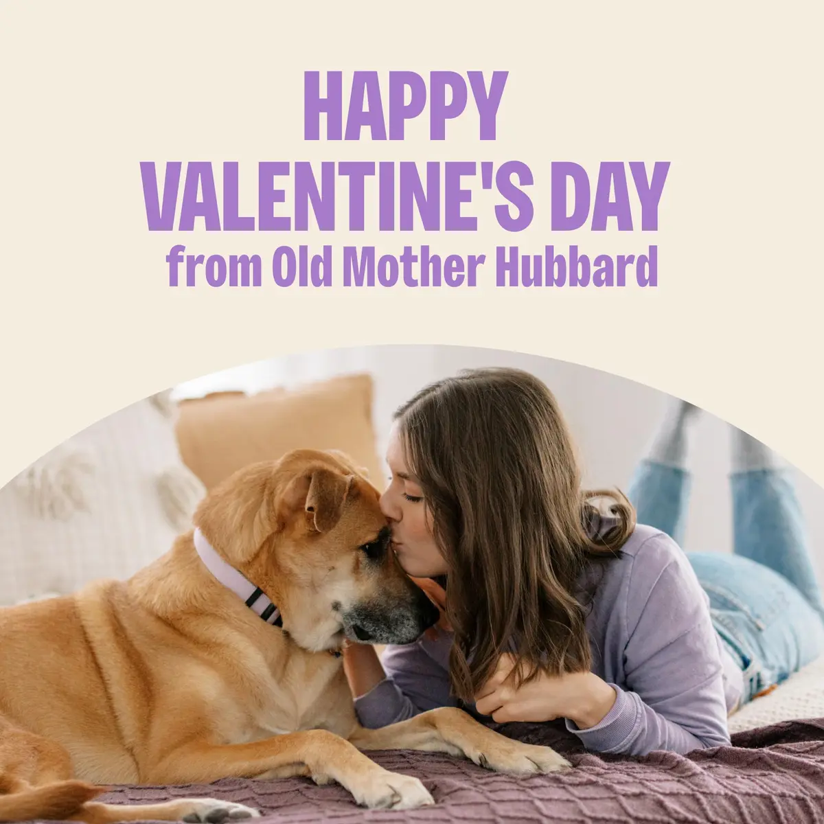 Old Mother Hubbard Bits of Love P-Nuttier Dog Biscuits 6 oz | Heart-Shaped Peanut Butter Treats for Dogs - view 5