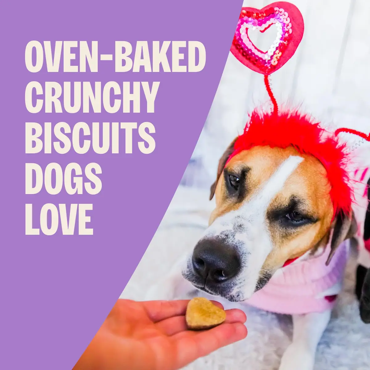 Old Mother Hubbard Bits of Love P-Nuttier Dog Biscuits 6 oz | Heart-Shaped Peanut Butter Treats for Dogs - view 2