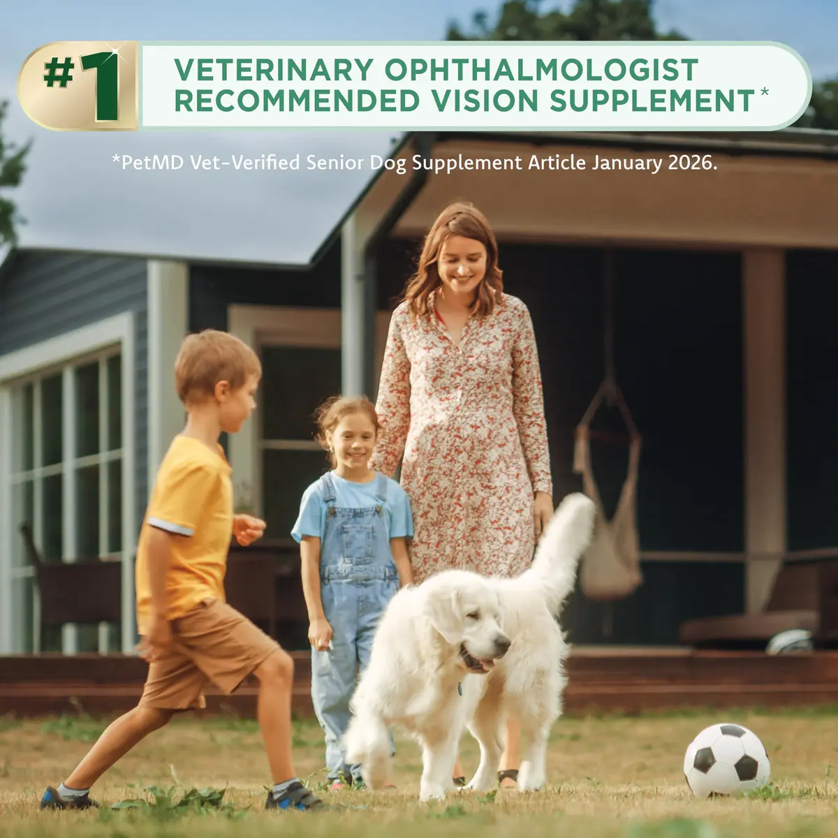 Ocu-GLO Vision Supplement for Small Dogs 45ct Liquid Gelcaps | Eye Health Support with Lutein & Omega-3 - view 5