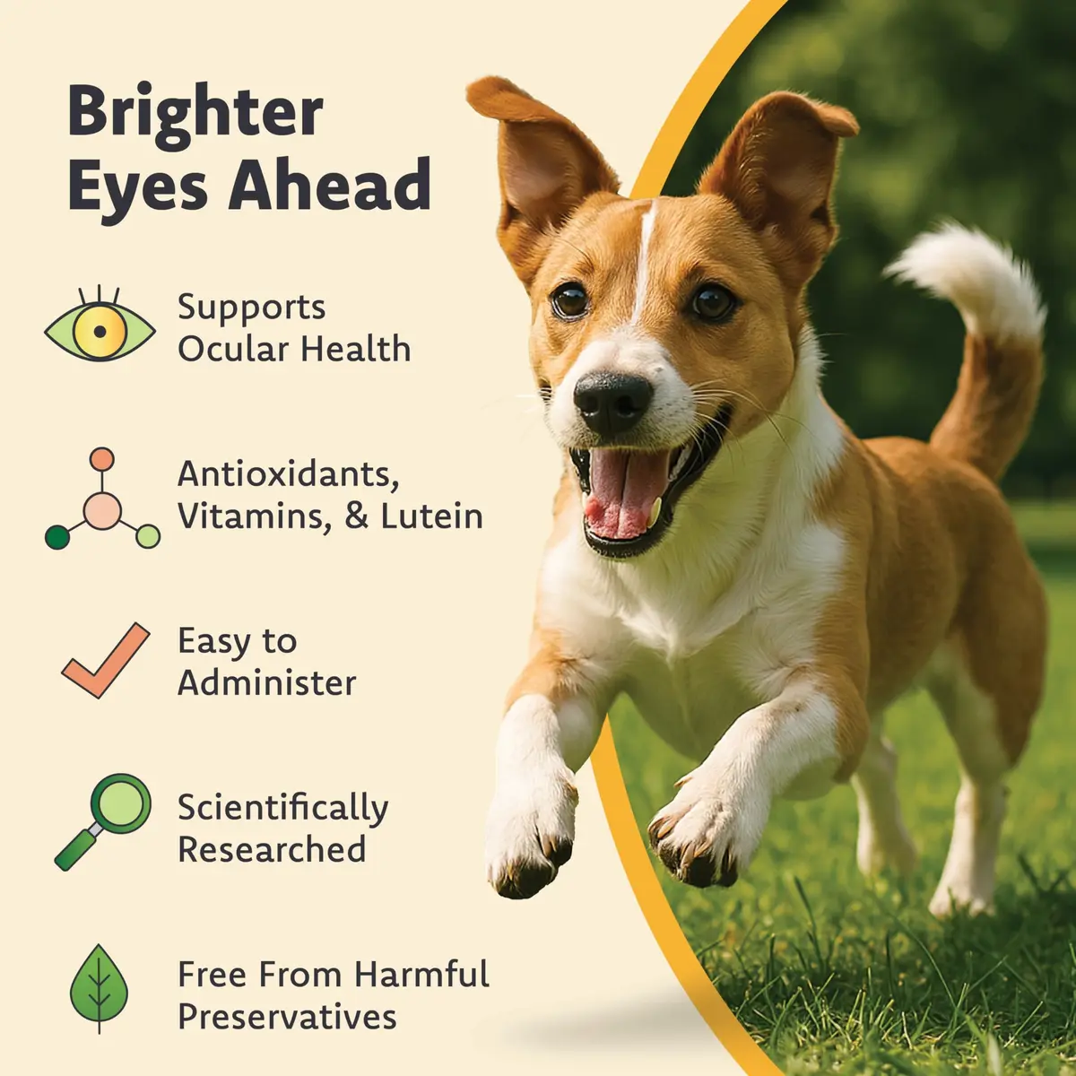 Ocu-GLO Vision Supplement for Small Dogs 45ct Liquid Gelcaps | Eye Health Support with Lutein & Omega-3 - view 4