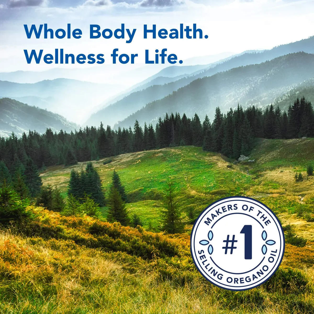 North American Herb & Spice BoneActiv 2 Fl Oz | Supports Healthy Bones & Joints - view 5