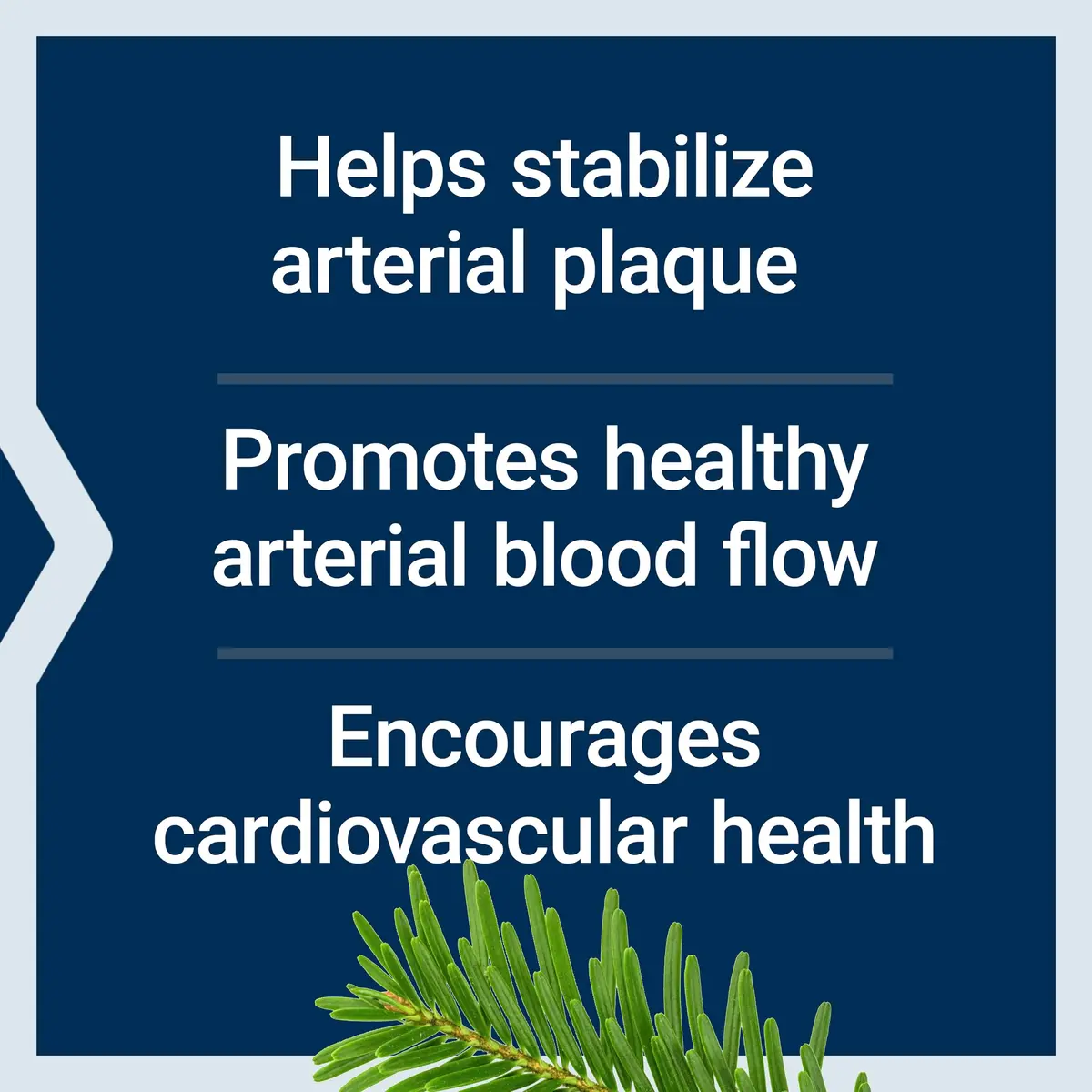 Life Extension Arterial Protect Blood Pressure Supplement 30 Capsules | Supports Healthy Arterial Blood Flow - view 3