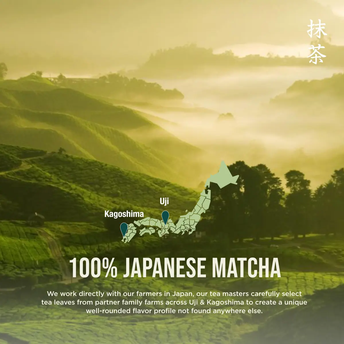 Jade Leaf Ceremonial Grade Matcha Powder, 30g / 1.06oz Tin | USDA Organic Japanese Matcha for Lattes & Recipes - view 10