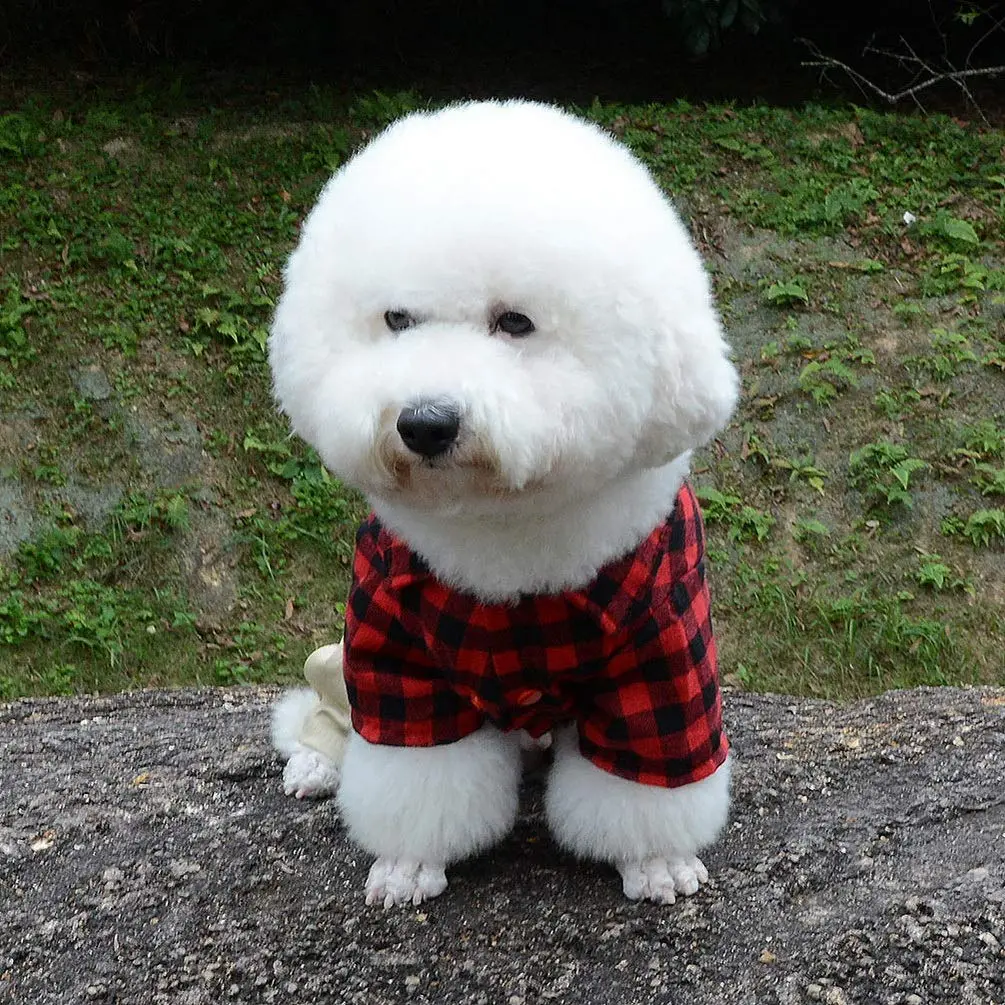 SMALLLEE_LUCKY_STORE Pet Clothes for Small Dog Cat Red Plaid Shirts Sweater with Khaki Overalls Pants Jumpsuit Outfits S | Easy Snap & High Belly Cut - view 7