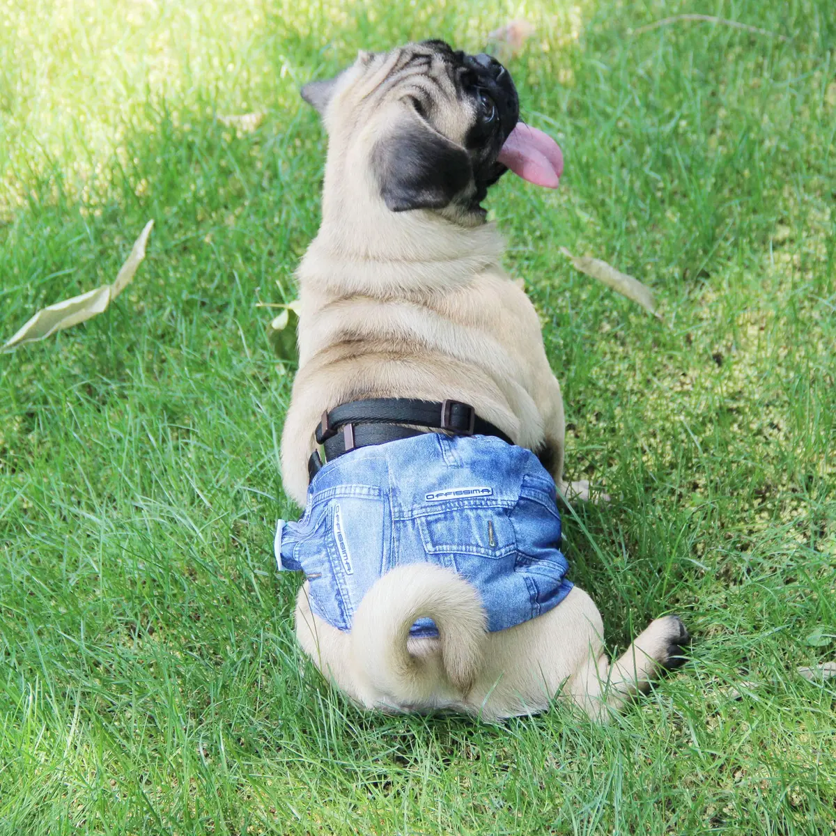 Wegreeco Male Dog Belly Bands Medium | Reusable, Adjustable & Leak-Free (15-17") - view 7