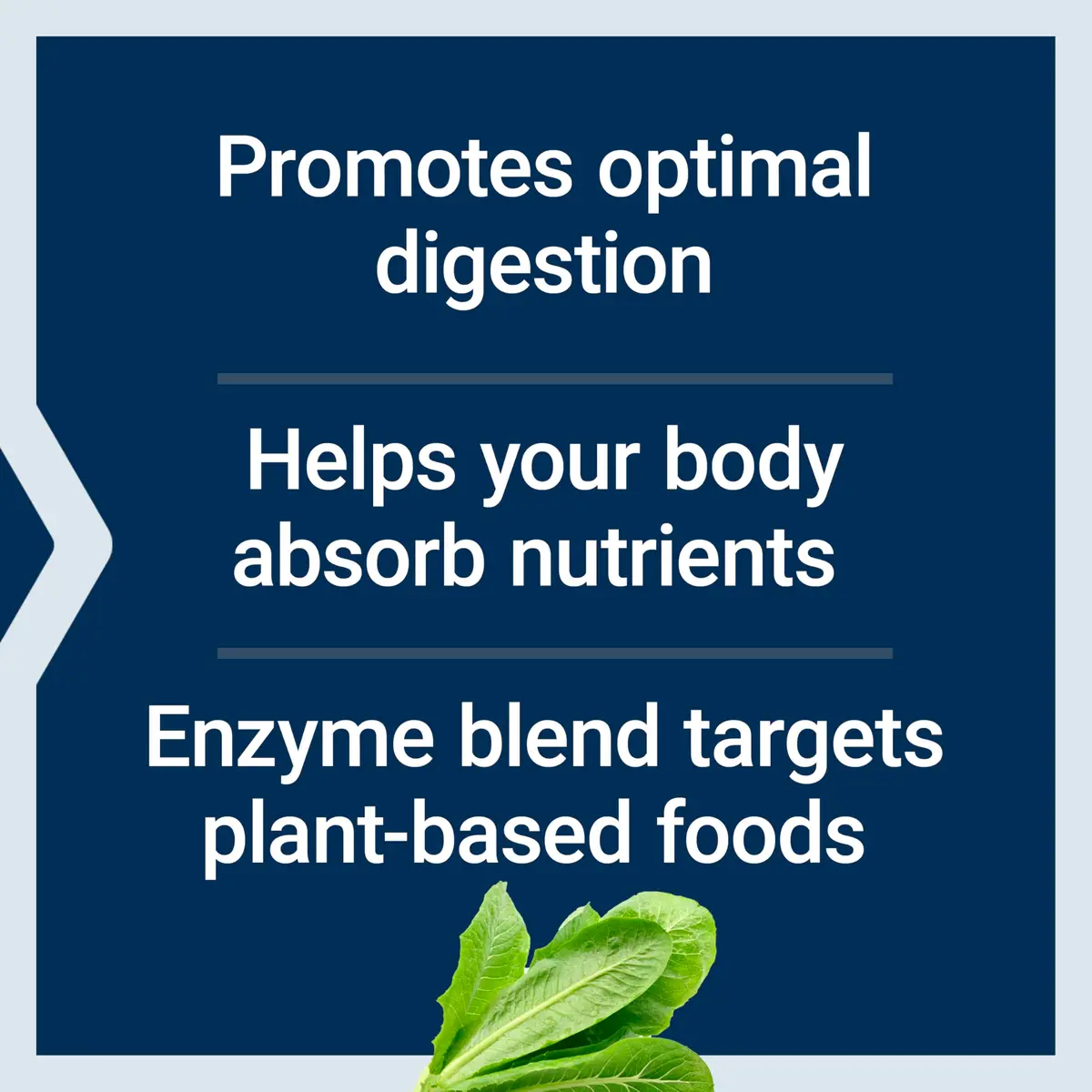 Life Extension Enhanced Super Digestive Enzymes and Probiotics, 60 Capsules | Supports Digestion & Nutrient Absorption - view 3