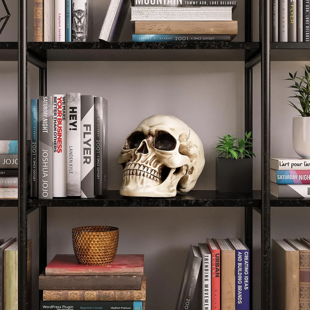 READAEER Halloween Skull Head, Life Size Resin Skull, Large Size Adult Skull Model for Home Decoration, Halloween Skull Statue (White) - view 5