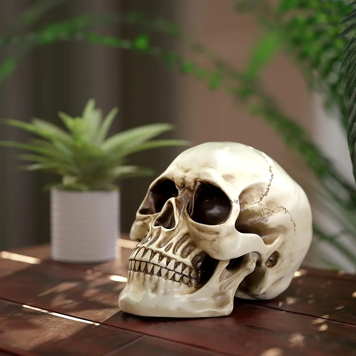 READAEER Halloween Skull Head, Life Size Resin Skull, Large Size Adult Skull Model for Home Decoration, Halloween Skull Statue (White) - view 7