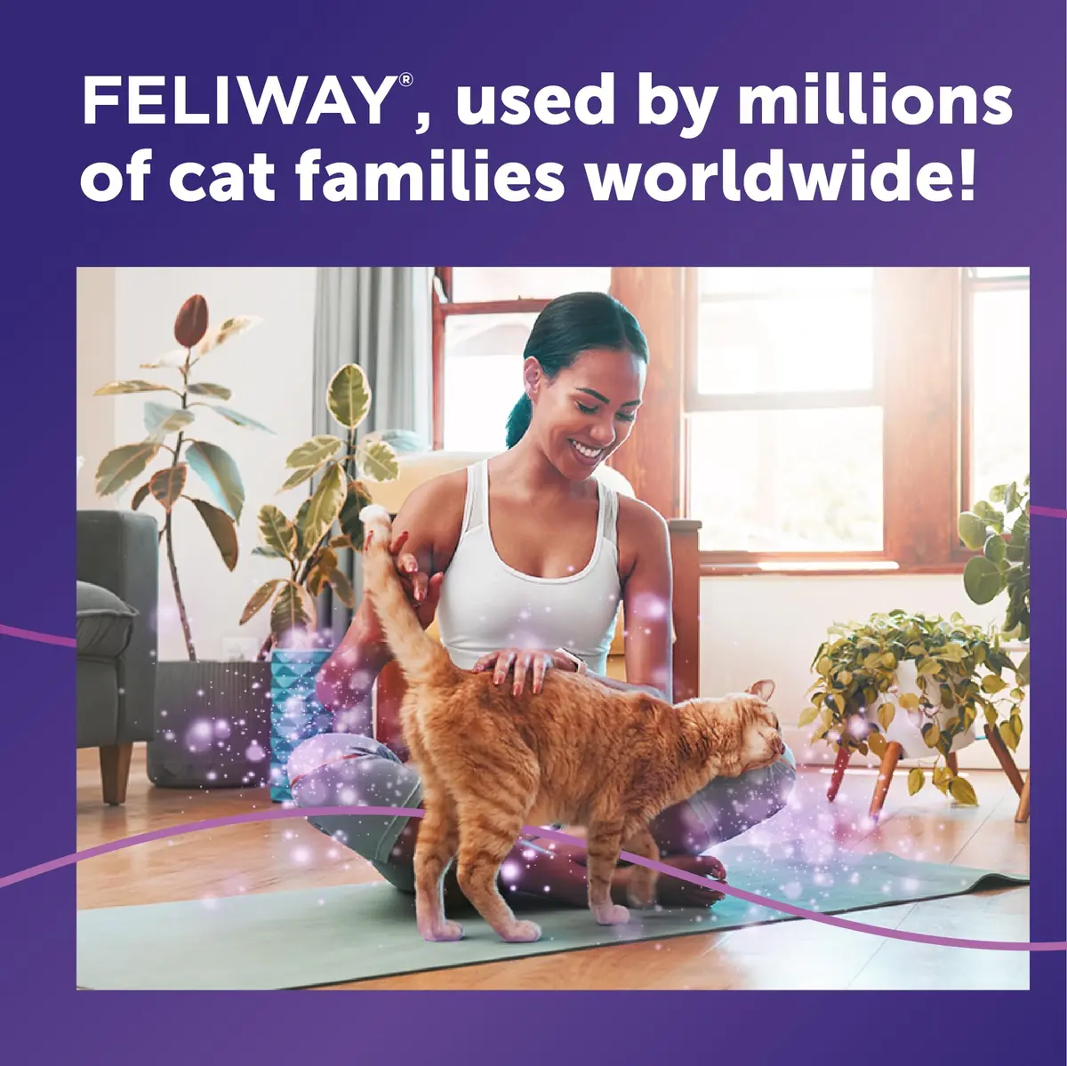 FELIWAY Classic Cat Calming Spray 60ml (2 Fl Oz) | Vet Recommended Pheromone Calming - view 5
