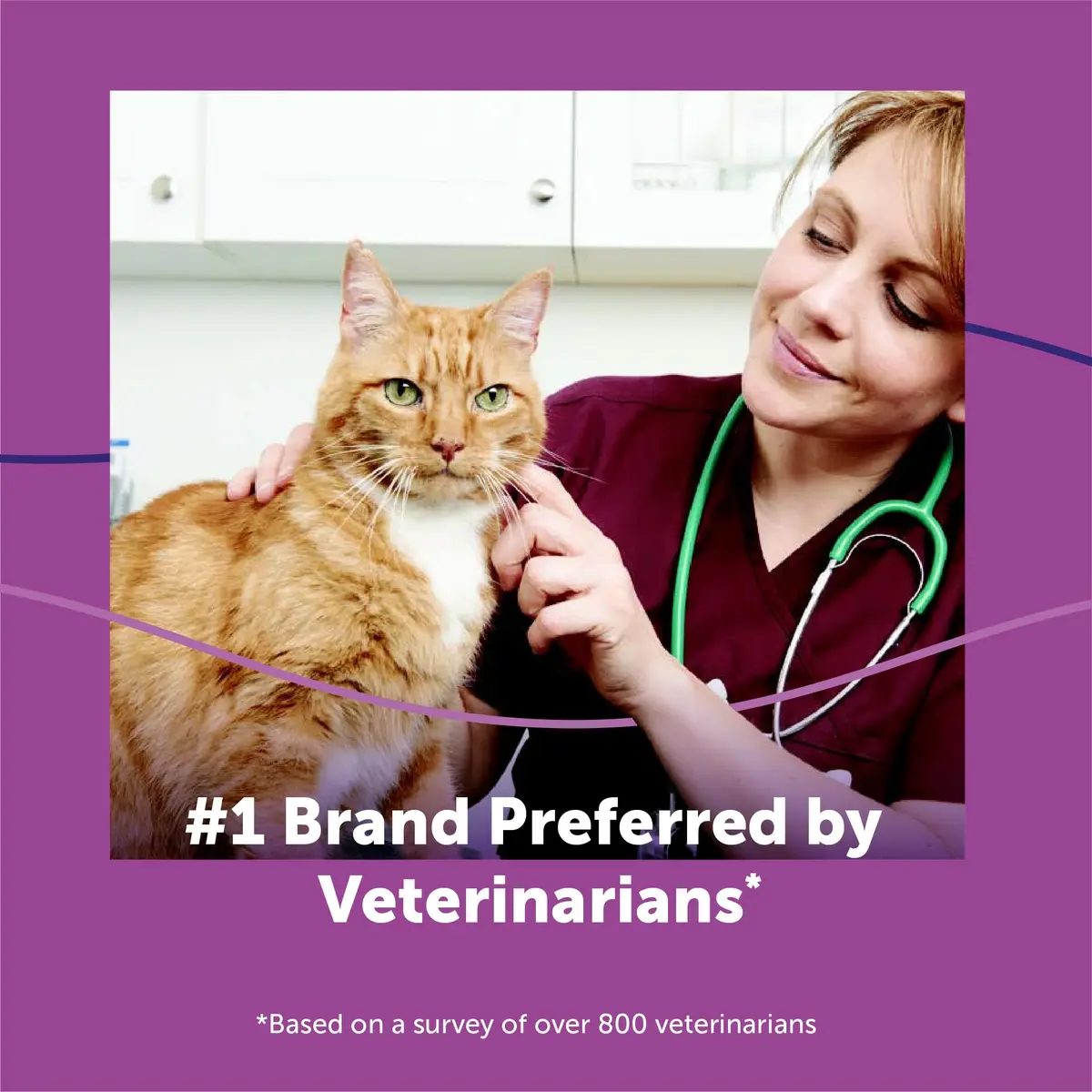 FELIWAY Classic Cat Calming Spray 60ml (2 Fl Oz) | Vet Recommended Pheromone Calming - view 8
