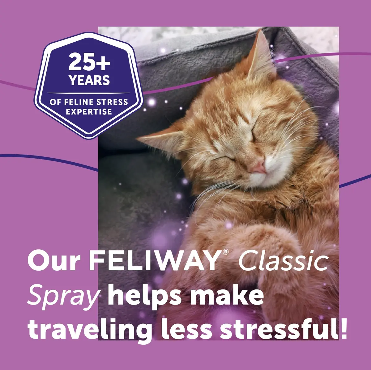 FELIWAY Classic Cat Calming Spray 60ml (2 Fl Oz) | Vet Recommended Pheromone Calming - view 3