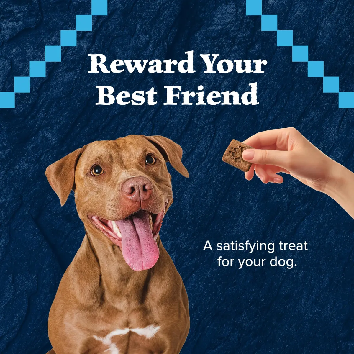 Blue Buffalo Wilderness Turkey Crunchy Dog Biscuits, Grain-Free, 680g (24 oz) | High-Protein Nutrition for All Breeds - view 4