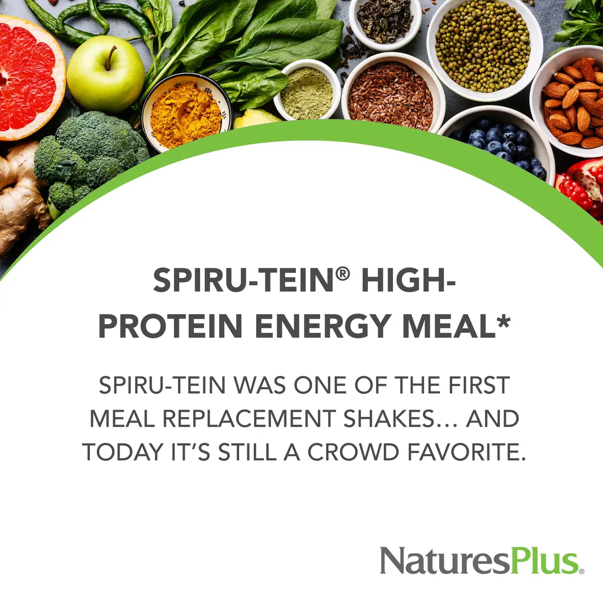 NaturesPlus Spiru-Tein, Chocolate - 2.1 lb - Plant-Based Protein with Spirulina, Vegetarian, Non-GMO - view 3