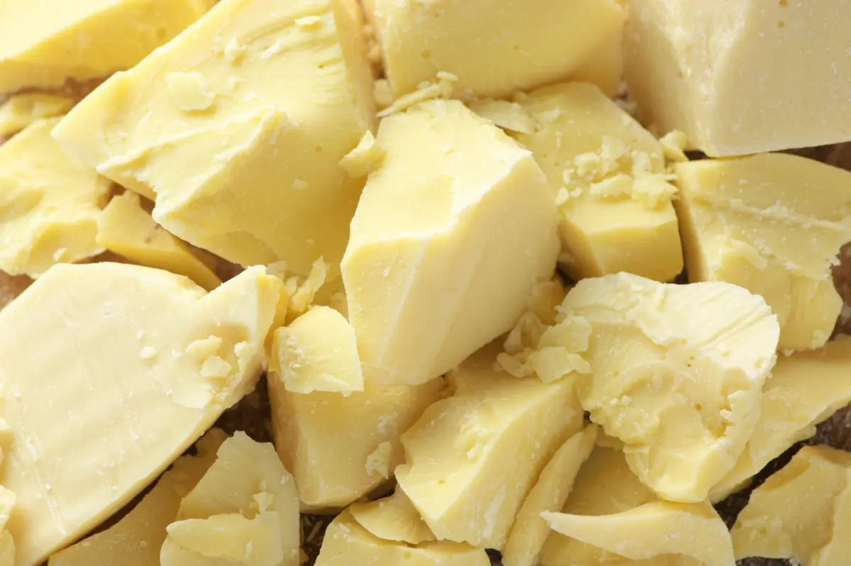 SAAQIN Organic Cocoa Butter 8oz | Pure, Raw, Unprocessed, Non-GMO, Natural Moisturizer for Dry Skin - main product image
