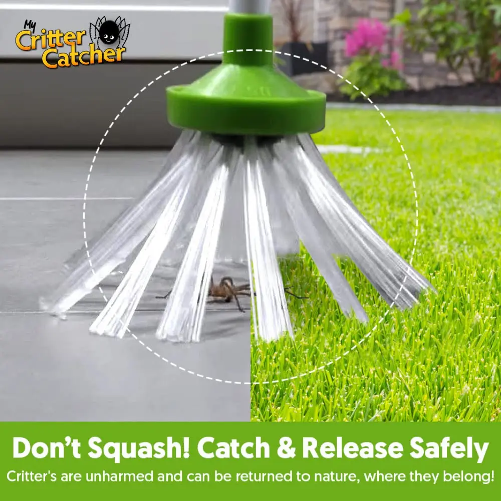 My Critter Catcher Spider and Insect Catcher | Safe, Reusable, Easy to Use for All Ages - view 5