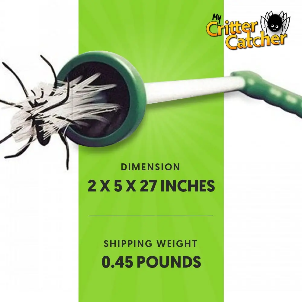 My Critter Catcher Spider and Insect Catcher | Safe, Reusable, Easy to Use for All Ages - view 7