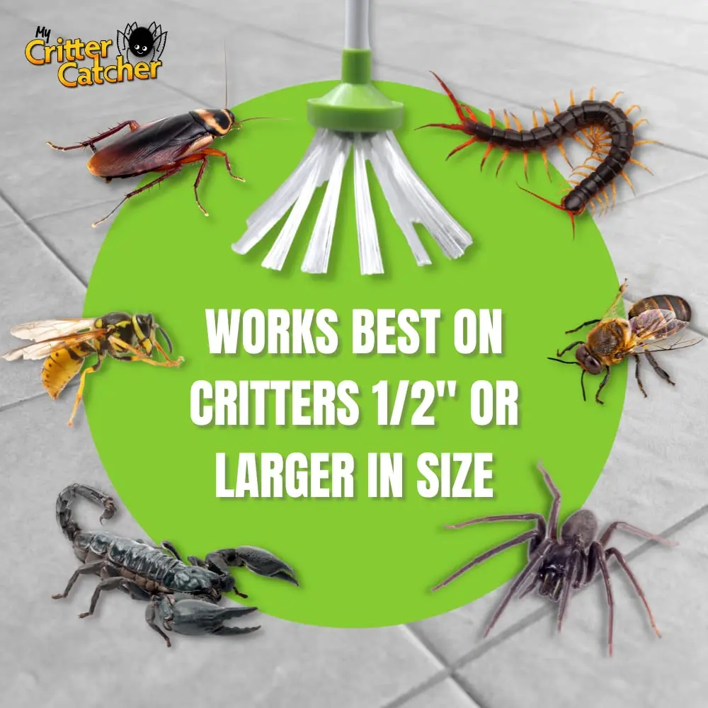 My Critter Catcher Spider and Insect Catcher | Safe, Reusable, Easy to Use for All Ages - view 9
