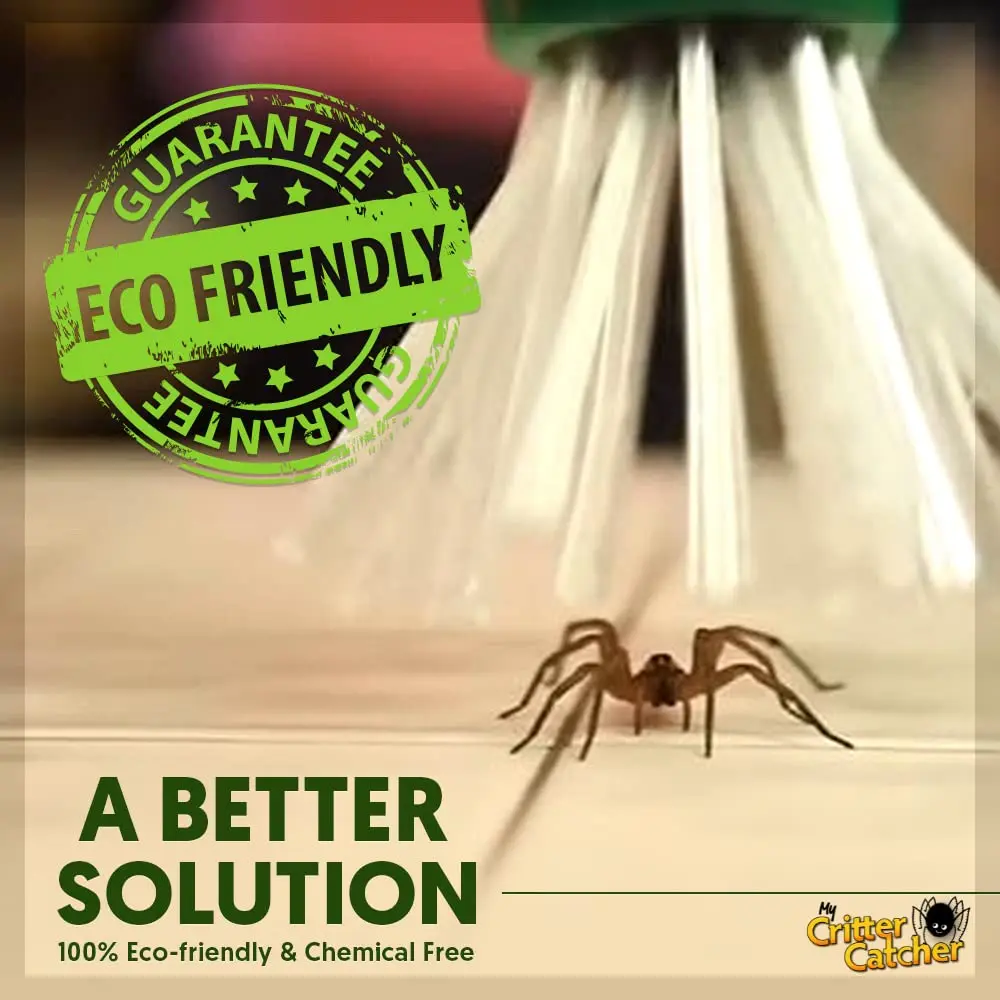My Critter Catcher Spider and Insect Catcher | Safe, Reusable, Easy to Use for All Ages - view 2
