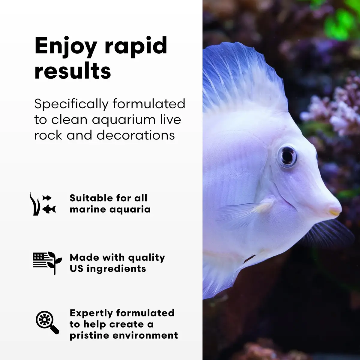 Brightwell Aquatics MicroBacter Clean Marine Aquarium Cleaner Aid, 250 ml | Natural bacterial solution for healthy aquariums - view 2