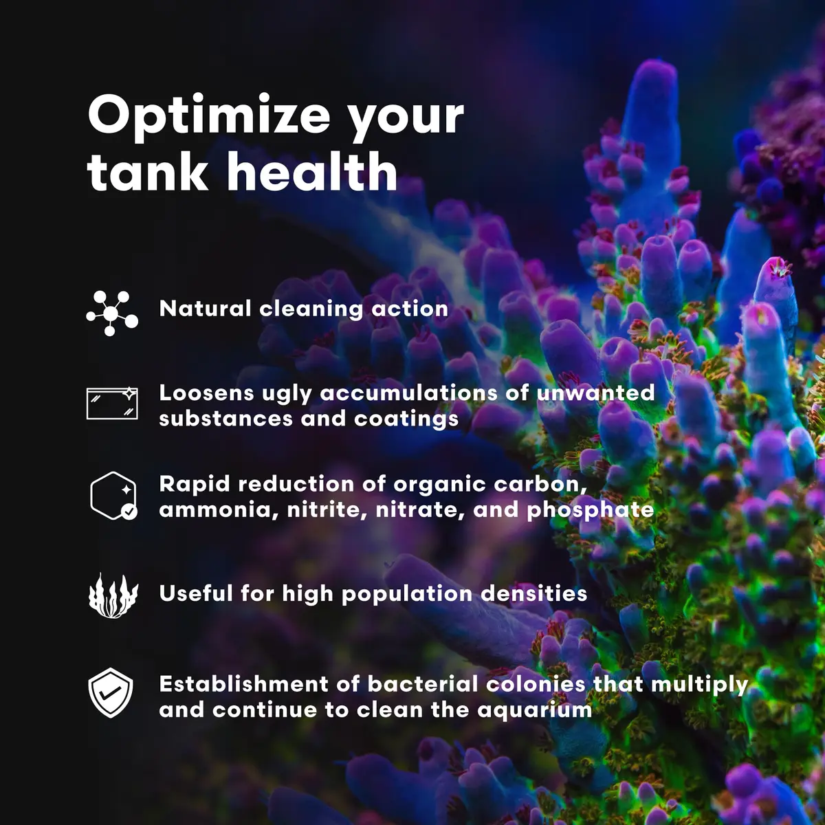 Brightwell Aquatics MicroBacter Clean Marine Aquarium Cleaner Aid, 250 ml | Natural bacterial solution for healthy aquariums - view 3