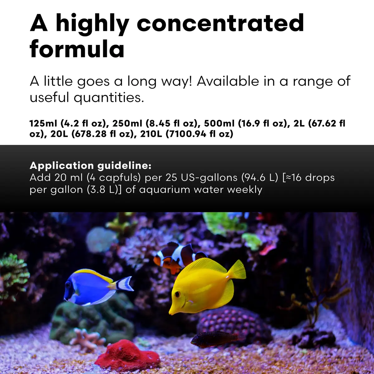Brightwell Aquatics MicroBacter Clean Marine Aquarium Cleaner Aid, 250 ml | Natural bacterial solution for healthy aquariums - view 4