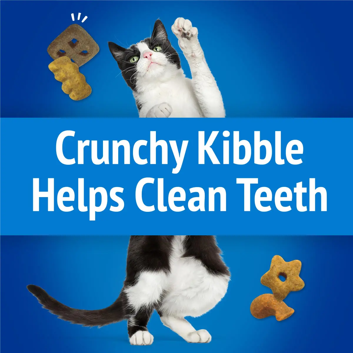Purina Friskies Party Mix Beachside Crunch Cat Treats, 20 oz (567 g) | Seafood Flavors, Less Than 2 Calories Per Treat - view 4