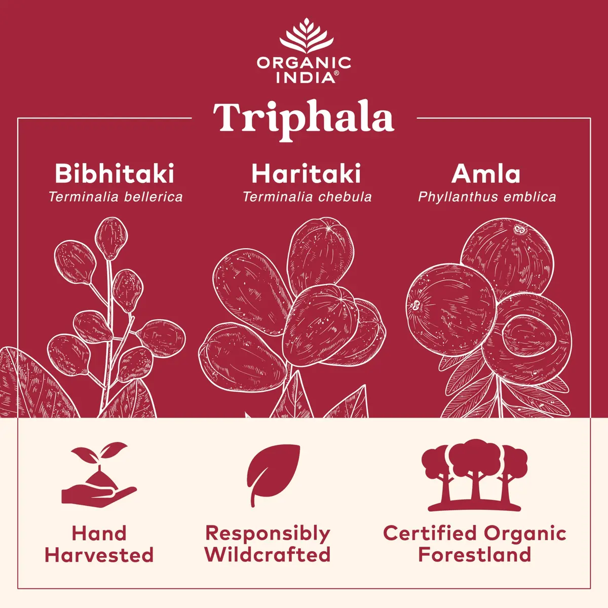 Organic India Triphala Capsules 180 Count | Supports Digestive Balance & Rejuvenation - view 2
