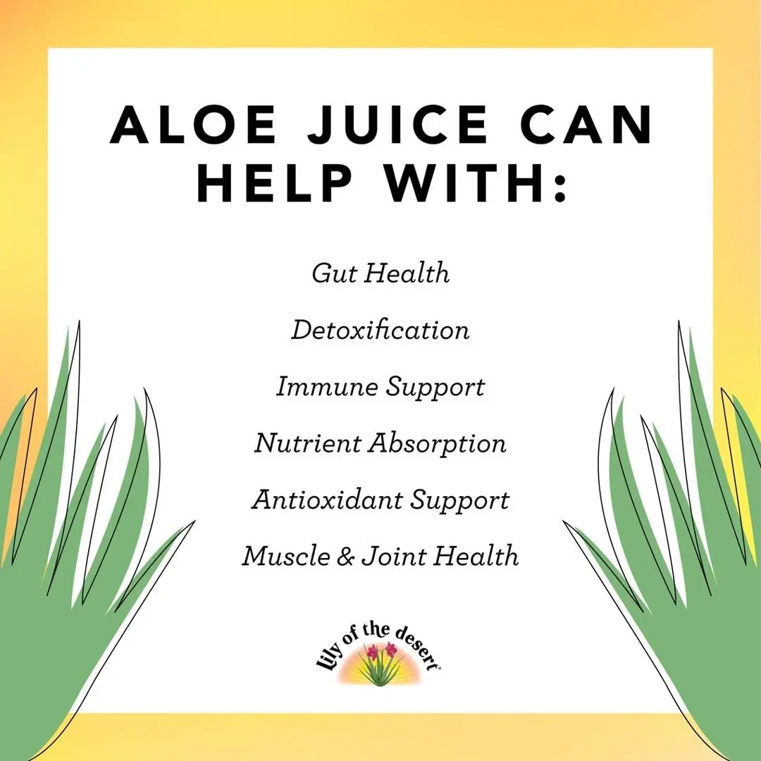 Lily of the Desert Aloe Vera Juice, Inner Fillet, Mild Taste, 16 Fl Oz | Supports Digestion & Immunity - view 8