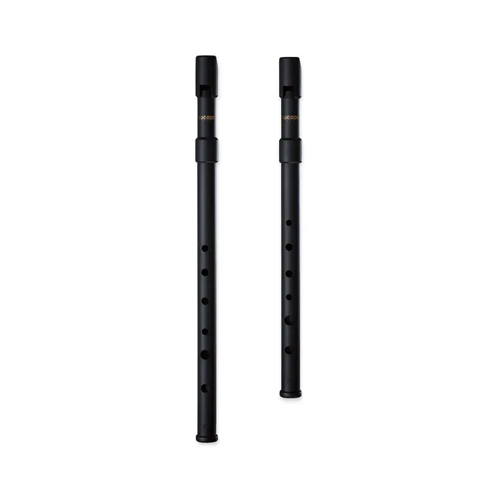 SMARTWOODI Set of 2 Irish Whistles Matte Black Key of C & D | 6-Hole Folk Instrument - main product image