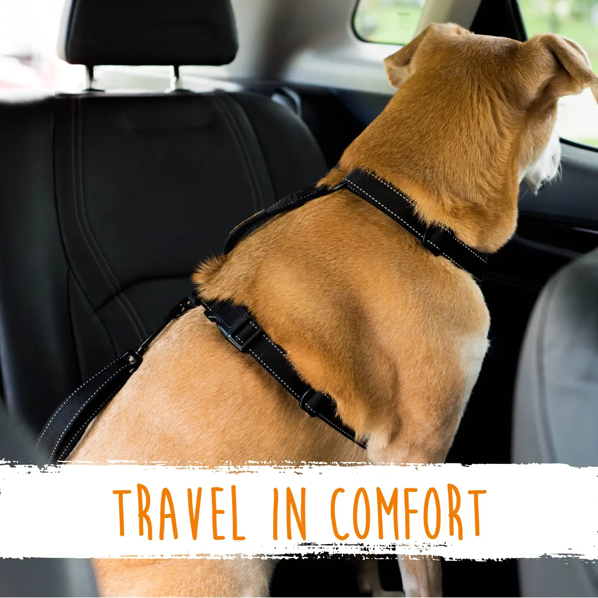 Mighty Paw Dog Seat Belt For Car - LATCH Compatible Adjustable Dog Seatbelt Harness for Small, Medium & Large Pets | Heavy-Duty Aviation Aluminum Carabiner - view 9