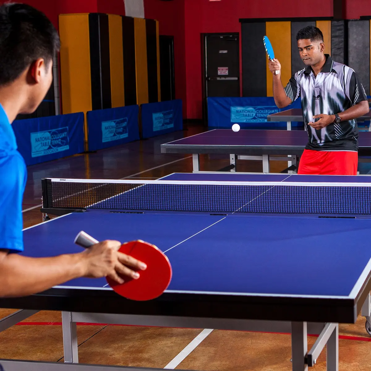 Champion Sports Table Tennis Paddle, Assorted Colors | 5 Ply Rubber Face, Straight Handle, Assorted Colors - view 9