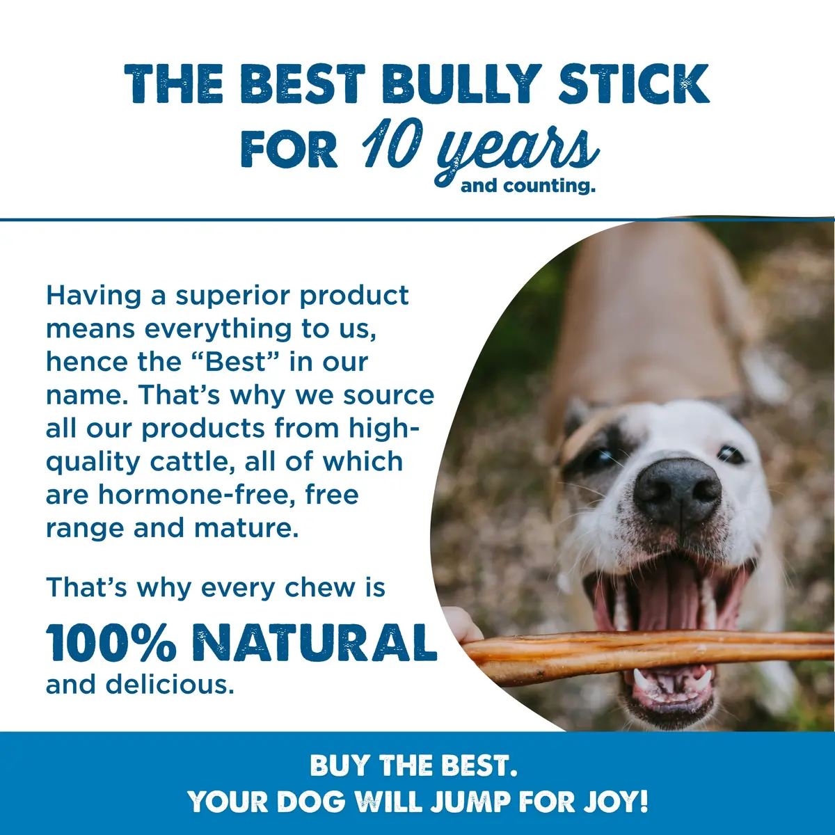Best Bully Sticks 12 Inch Bully Sticks for Dogs - 10 Count Natural, Grass-Fed Beef | Protein & Dental Support - view 6
