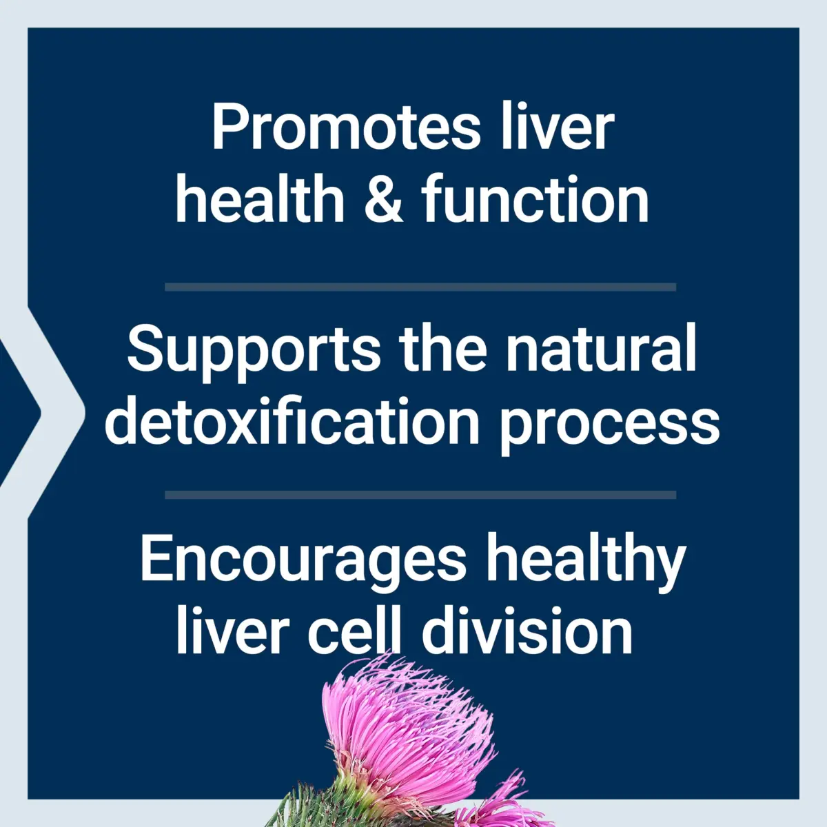 Life Extension Advanced Milk Thistle Softgels 60 Count (1.7 oz) | Bioavailable Silymarin & Silybin for Liver Health - view 4