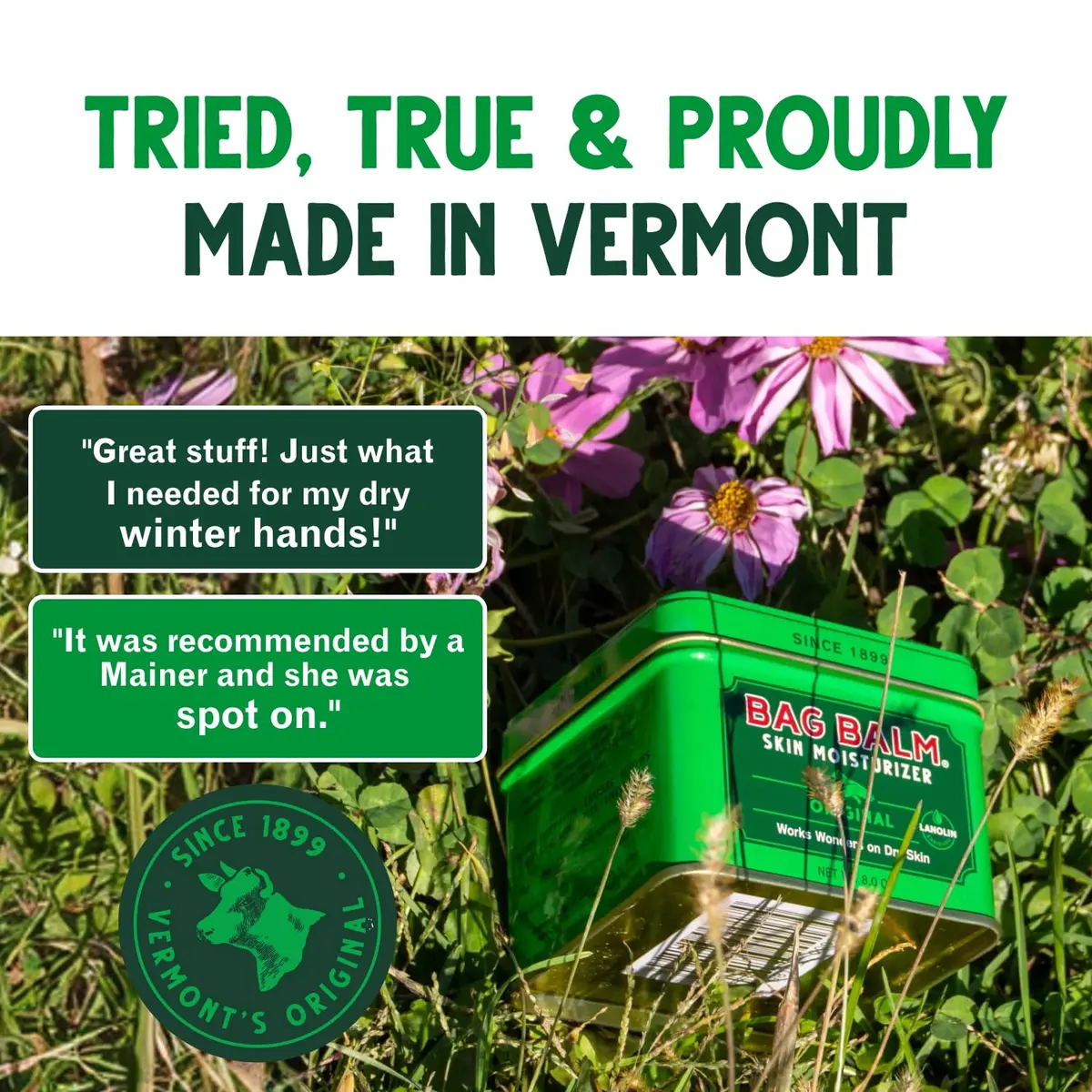 Bag Balm Vermont's Original Skin Moisturizer 4oz | Full-Body Hydrating Skin Care for Dry Hands & Lips - view 8