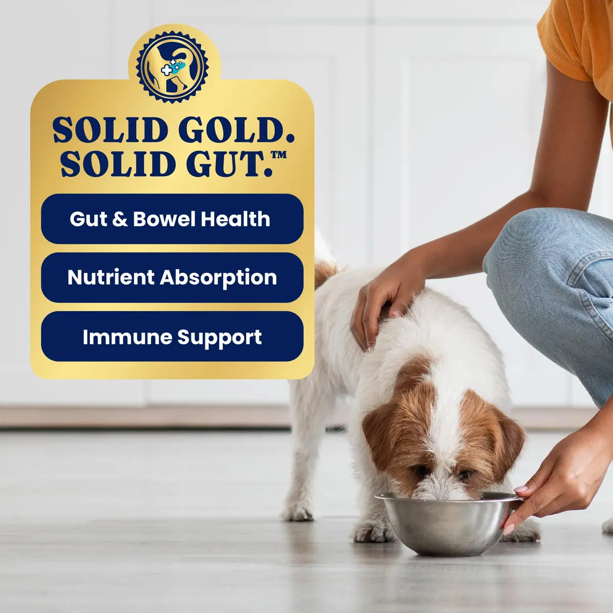 Solid Gold Small Breed Chicken Wet Dog Food Topper, 12ct | Grain-Free, Digestive Support, For Puppies & Adults - view 6