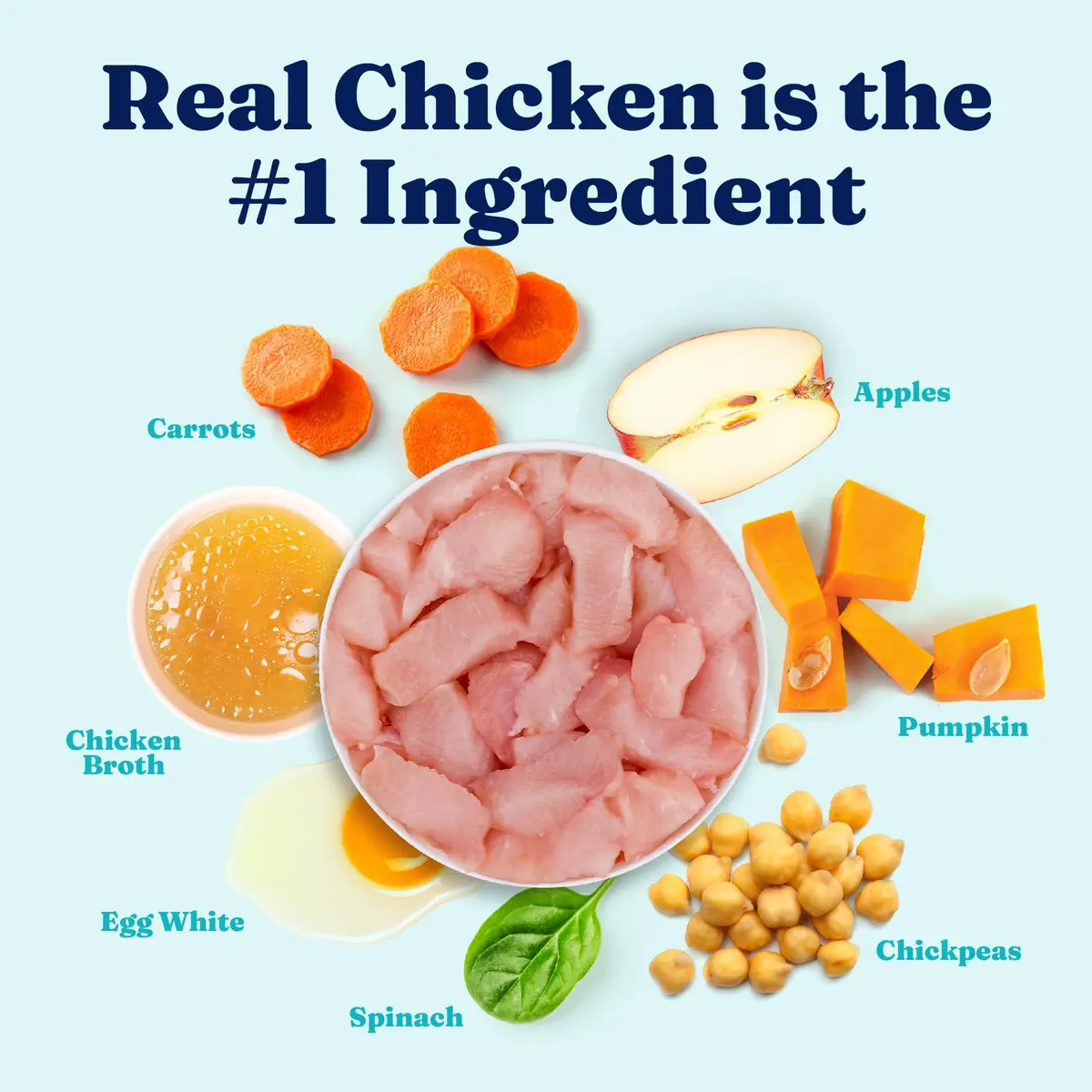 Solid Gold Small Breed Chicken Wet Dog Food Topper, 12ct | Grain-Free, Digestive Support, For Puppies & Adults - view 3