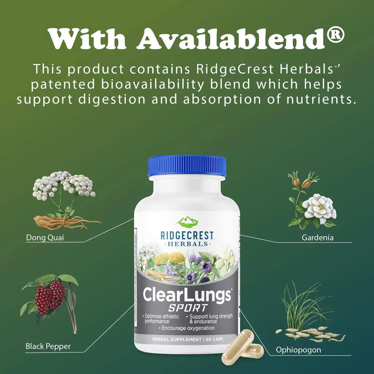 RidgeCrest Herbals ClearLungs Sport Oxygen and Lung Support 60 Ct | Respiratory & Athletic Performance Support - view 7