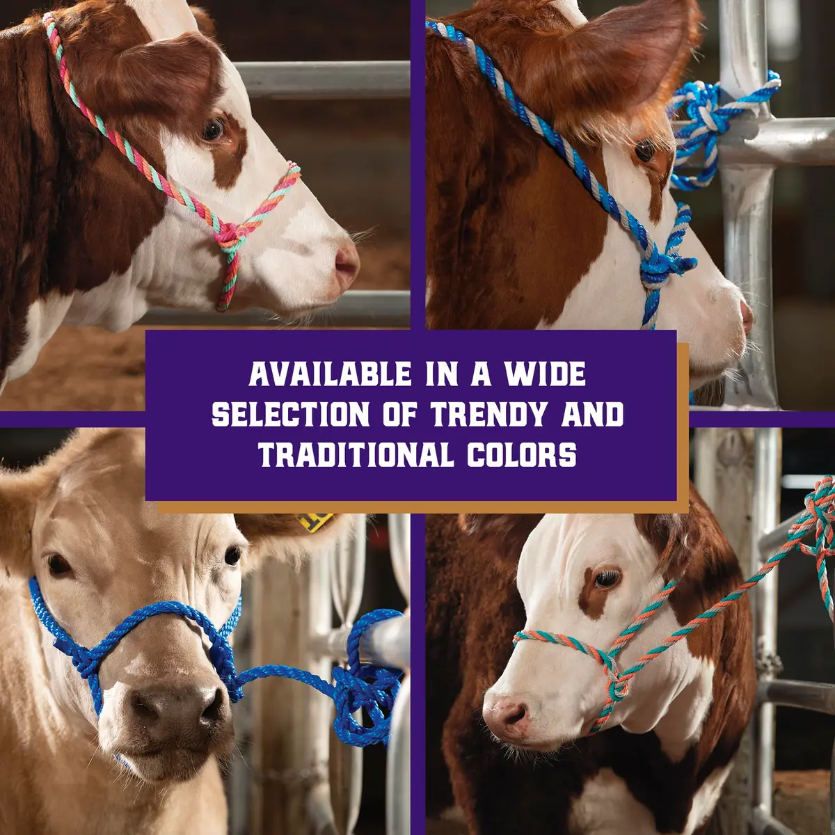 Weaver Livestock Braided Poly Rope Cattle Halter, Adjustable Cow Calf Halter, Livestock Handling Equipment for Showing, Dark Blue/Hurricane Blue/Gray | Durable, Adjustable & Comfortable - view 5
